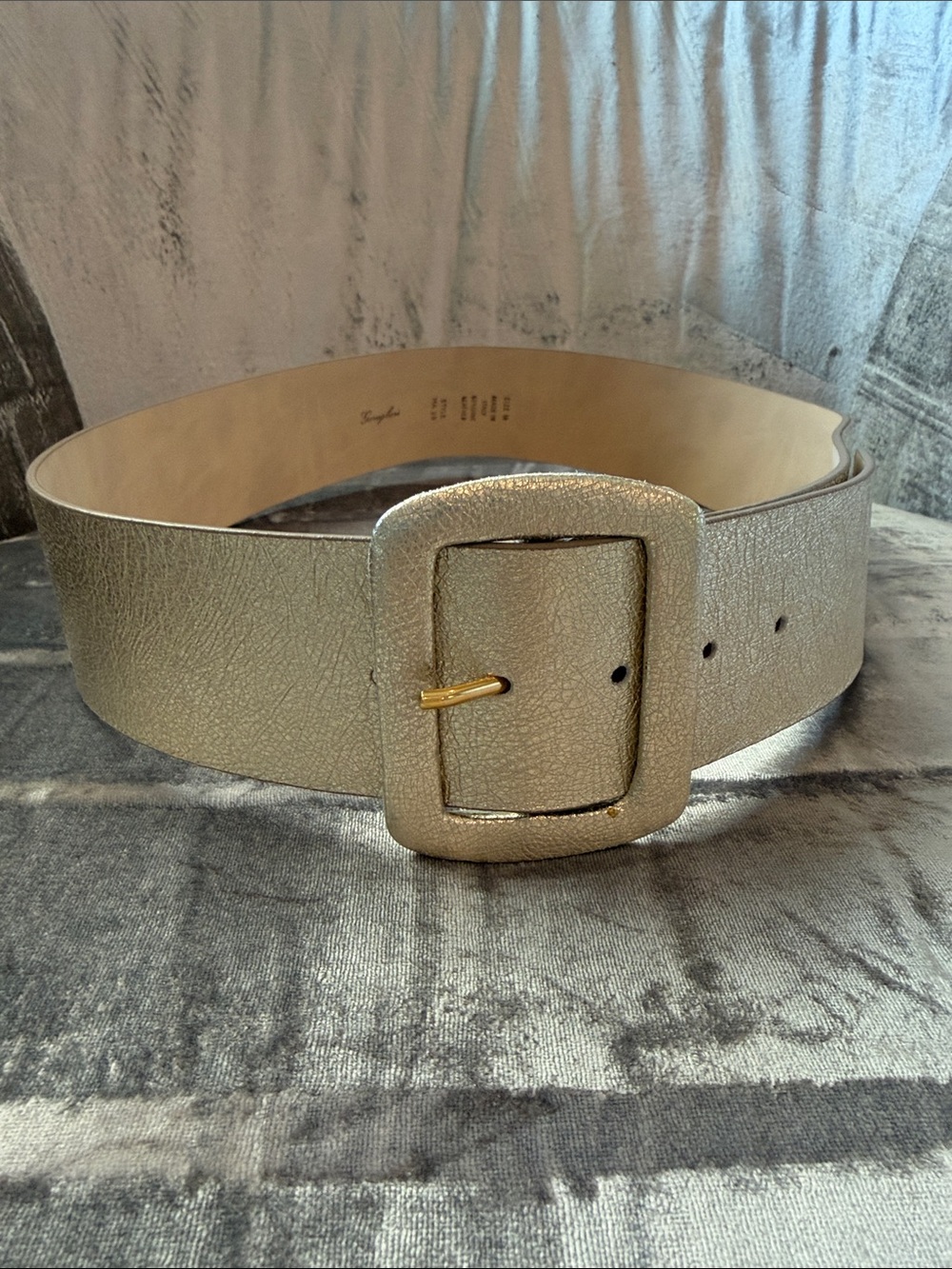 Metallic Gold Wide women’s  Belt with Covered Buckle